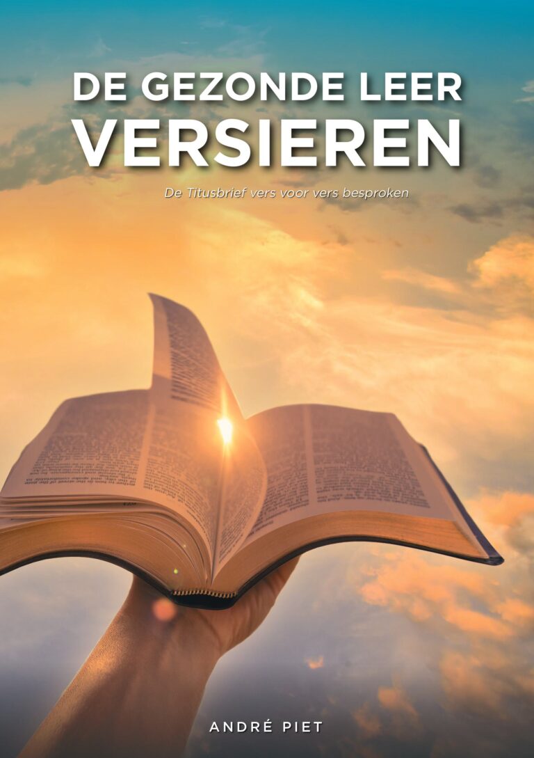Afbeelding bij het boek "De gezonde leer versieren"