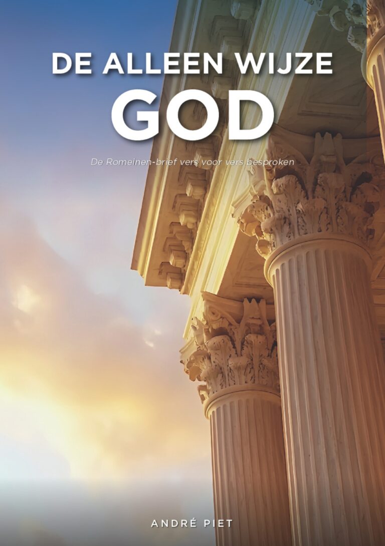 Afbeelding bij het boek "De alleen wijze God"
