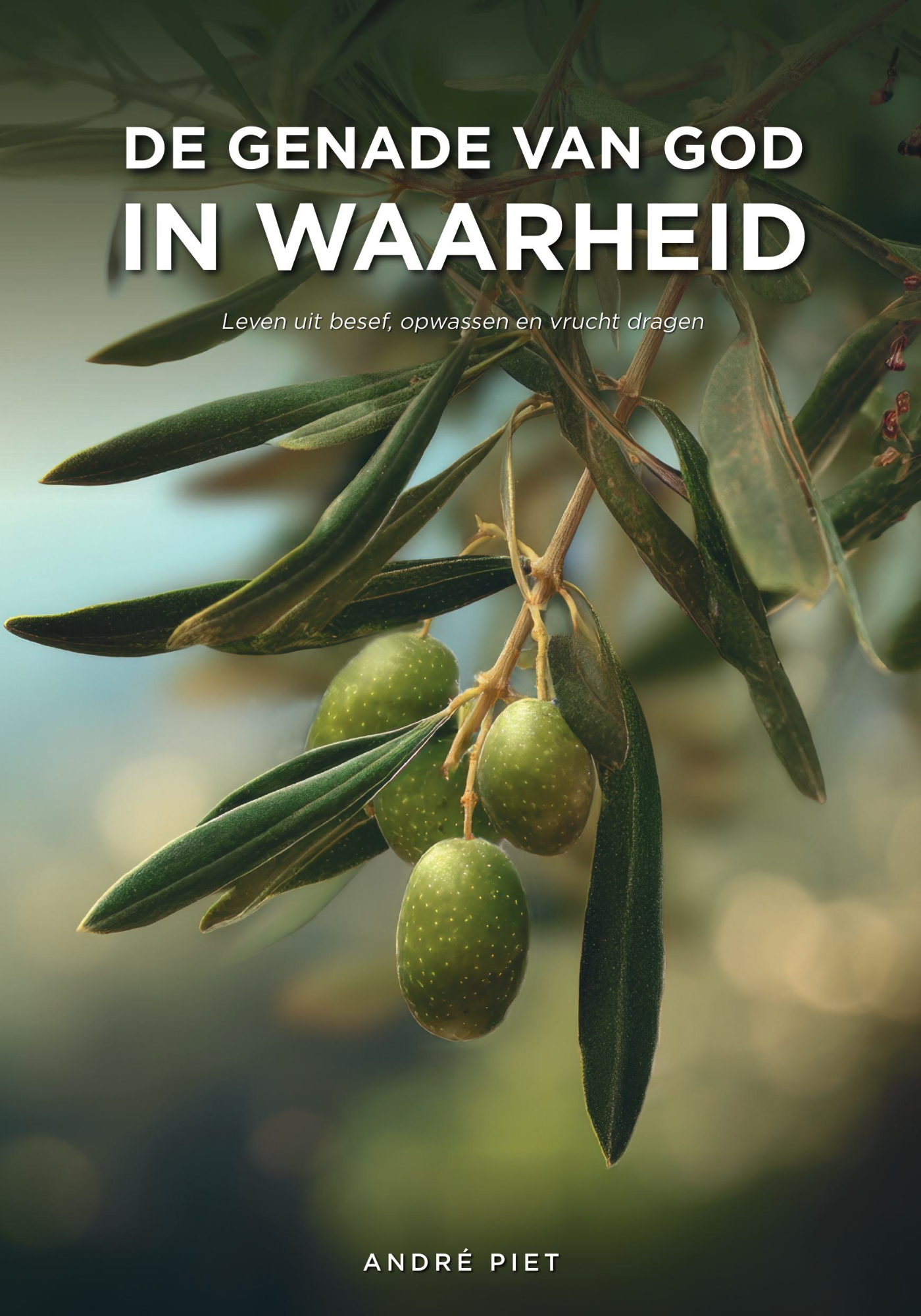 Afbeelding bij de brochure "De genade van God in waarheid"