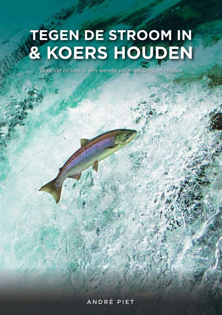 Afbeelding bij de brochure "Tegen de stroom in en koers houden"